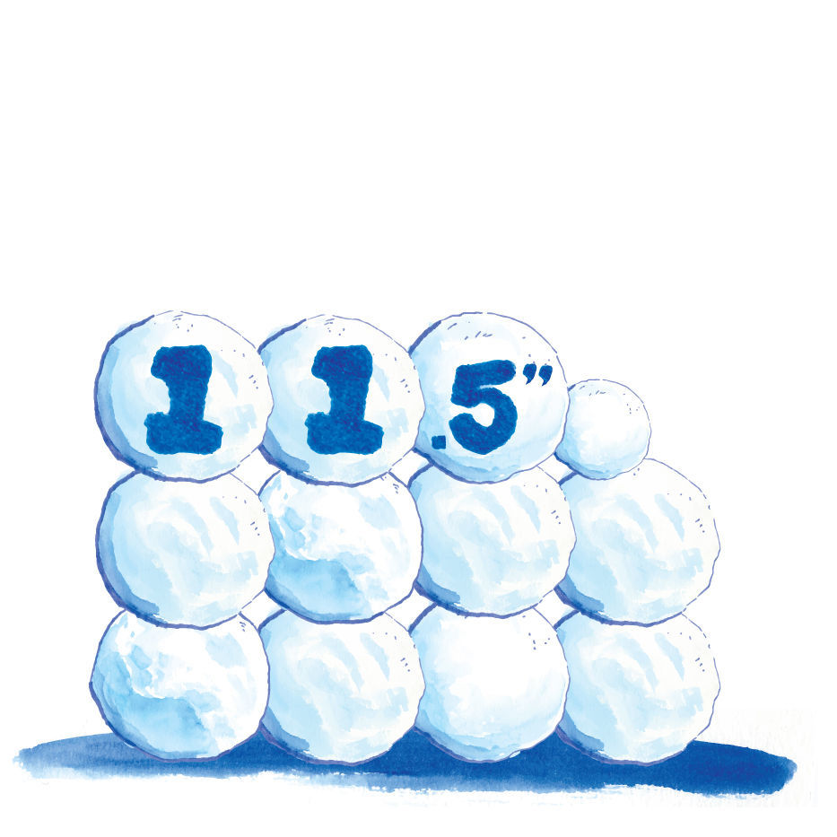 No. 8